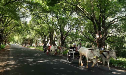 ஆடி அமாவாசையையொட்டி முன்னோர்களுக்கு திதி கொடுக்க ஆழியாற்றில் குவிந்த பொதுமக்கள்