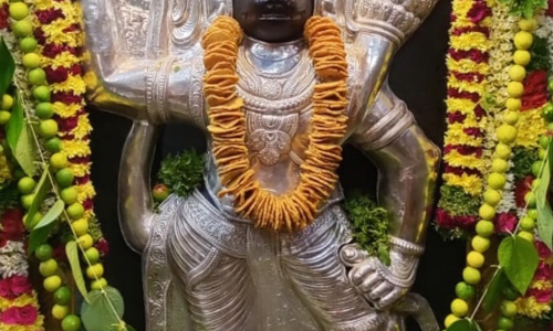 ஆடி அமாவாசையையொட்டி  ஆஞ்சநேயர் கோவில்களில் சிறப்பு வழிபாடு  ஏராளமான பக்தர்கள் சாமி தரிசனம்