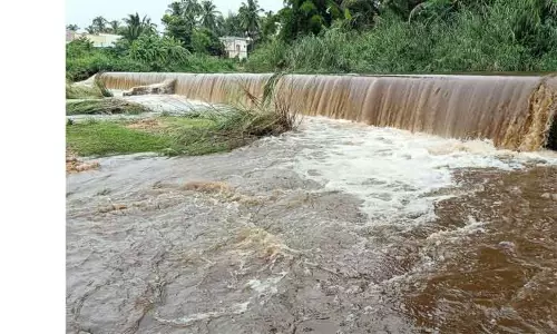 போடியில் பலத்த மழை: கொட்டக்குடி ஆற்றில் வெள்ளப்பெருக்கு போடியில் பலத்த மழை: கொட்டக்குடி ஆற்றில் வெள்ளப்பெருக்கு