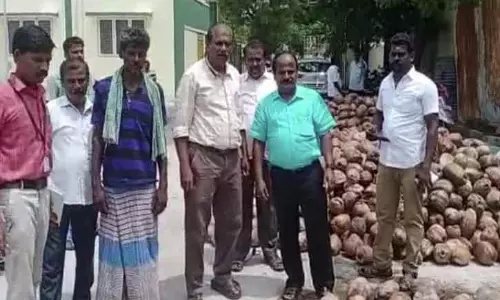 மின்னணு தேசிய வேளாண் சந்தை திட்டத்தில் தேங்காய் கொள்முதல் மின்னணு தேசிய வேளாண் சந்தை திட்டத்தில் தேங்காய் கொள்முதல்