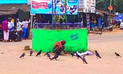 10 ஆண்டுகளாக காகங்களுக்கு வடை கொடுக்கும் ஓய்வு பெற்ற மின்வாரிய ஊழியர்