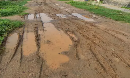 புகாா் பெட்டி