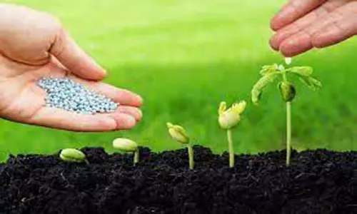 மண்ணின் வளத்தை பாதுகாக்க உயிர் உரங்களை பயன்படுத்தலாம்- வேளாண் அறிவியல் நிலைய தொழில்நுட்ப வல்லுனர் தகவல்