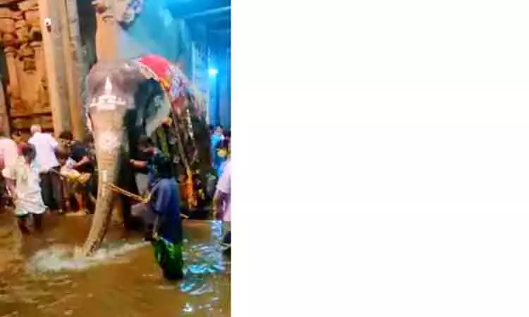 மதுரையில் கனமழைக்கு 4 பேர் பலி