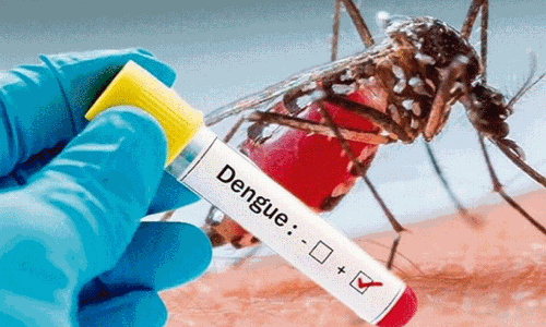 மலேரியா, டெங்கு குறித்து மக்களுக்கு விழிப்புணர்வு; அதிகாரிகளுக்கு, கலெக்டர் ரமேஷ் உத்தரவு மலேரியா, டெங்கு குறித்து மக்களுக்கு விழிப்புணர்வு; அதிகாரிகளுக்கு, கலெக்டர் ரமேஷ் உத்தரவு