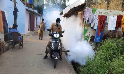 ஆனைமலையில் டெங்கு காய்ச்சல் தடுப்பு பணிகள் தீவிரம்