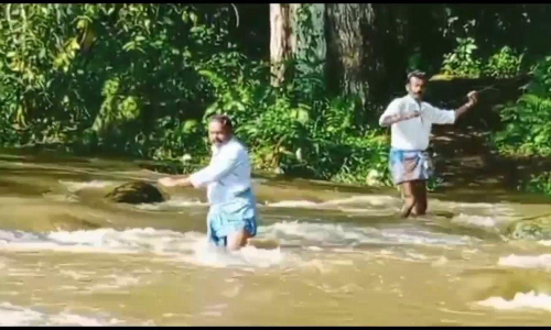 பேத்துப்பாறை பெரியாற்றில் வெள்ளப்பெருக்கு பேத்துப்பாறை பெரியாற்றில் வெள்ளப்பெருக்கு