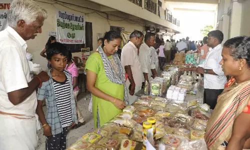 பெரம்பலூரில் விதைத்திருவிழா