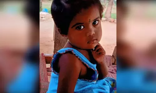 திண்டுக்கல்: விஷப் பூச்சி கடித்து மூன்று வயது குழந்தை பலியான சோகம்! திண்டுக்கல்: விஷப் பூச்சி கடித்து மூன்று வயது குழந்தை பலியான சோகம்!