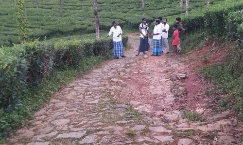 கரடு, முரடான சாலையால் தொழிலாளர்கள் அவதி கரடு, முரடான சாலையால் தொழிலாளர்கள் அவதி