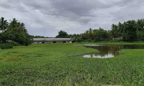 படகு இல்லம் அமைக்கப்படுமா?