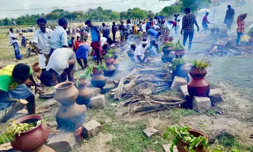 மதுரை: ஜந்து முளி கோவிலில் ஆண்கள் மட்டும் பங்குபெறும் ஆடி படையல் விழா - 100 கிடா வெட்டி விருந்து