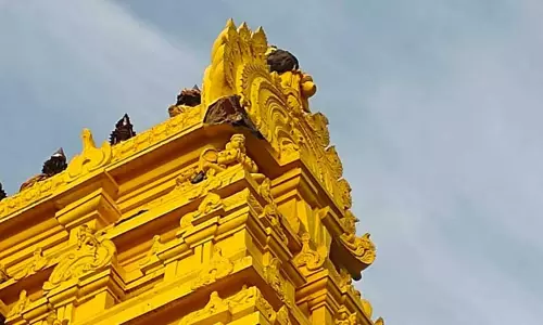 மின்னல் தாக்கி பெருமாள் கோவில் கோபுரம் சேதம் மின்னல் தாக்கி பெருமாள் கோவில் கோபுரம் சேதம்