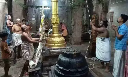 திருமேனிநாதர் கோவிலில் ஆடித்தபசு திருவிழா