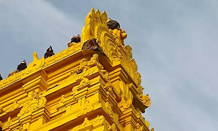 மின்னல் தாக்கி பெருமாள் கோவில் கோபுரம் சேதம் மின்னல் தாக்கி பெருமாள் கோவில் கோபுரம் சேதம்