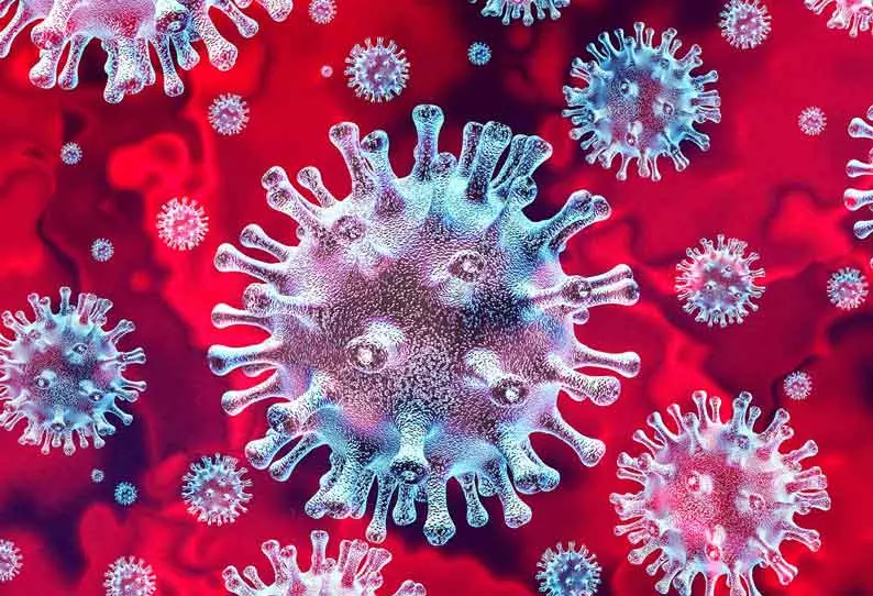 சேலம் மாவட்டத்தில் புதிதாக 61 பேருக்கு கொரோனா சேலம் மாவட்டத்தில் புதிதாக 61 பேருக்கு கொரோனா