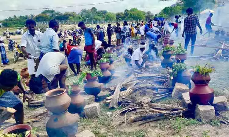 ஆண்கள் மட்டும் பங்கேற்ற ஆடி படையல் விழா ஆண்கள் மட்டும் பங்கேற்ற ஆடி படையல் விழா