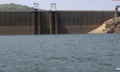 நீர்பிடிப்பு பகுதிகளில் கனமழை: காரையார் அணை நீர்மட்டம் ஒரே நாளில் 5 அடி உயர்வு