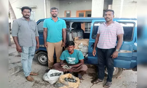 இலங்கைக்கு கடத்த இருந்த 300 கிலோ கடல் அட்டைகள் பறிமுதல் இலங்கைக்கு கடத்த இருந்த 300 கிலோ கடல் அட்டைகள் பறிமுதல்
