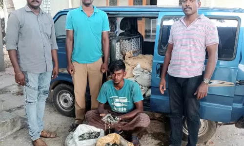 300 கிலோ கடல் அட்டைகளுடன் வாலிபர் கைது 300 கிலோ கடல் அட்டைகளுடன் வாலிபர் கைது