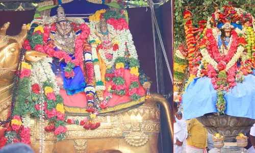 ராமேசுவரம் கோவிலில் சாமி-அம்பாள் மாலை மாற்றுதல் நிகழ்ச்சி ராமேசுவரம் கோவிலில் சாமி-அம்பாள் மாலை மாற்றுதல் நிகழ்ச்சி