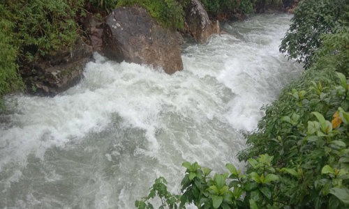 வால்பாறையில் கனமழை: சோலையாறு அணைக்கு நீர்வரத்து அதிகரிப்பு- ஆறுகளில் வெள்ளப்பெருக்கு வால்பாறையில் கனமழை: சோலையாறு அணைக்கு நீர்வரத்து அதிகரிப்பு- ஆறுகளில் வெள்ளப்பெருக்கு