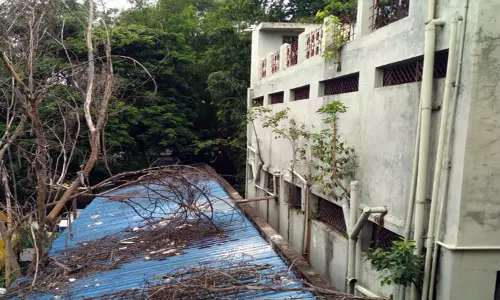 வளாகத்தை சுற்றிலும் குப்பை: ஈரோடு மாநகராட்சி அலுவலக கட்டிடத்தில் வளரும் மரங்கள்