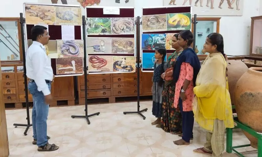 பழனி அருங்காட்சியகத்தில் பாம்புகள் புகைப்பட கண்காட்சி பழனி அருங்காட்சியகத்தில் பாம்புகள் புகைப்பட கண்காட்சி