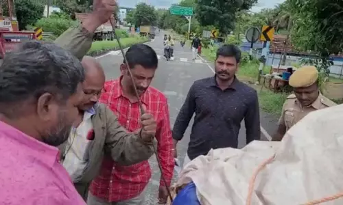 கேரளா செல்லும் காய்கறி வாகனங்கள் தீவிர கண்காணிப்பு