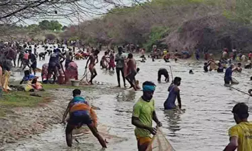 ராப்பூசல் பெரிய குளத்தில் மீன்பிடி திருவிழா
