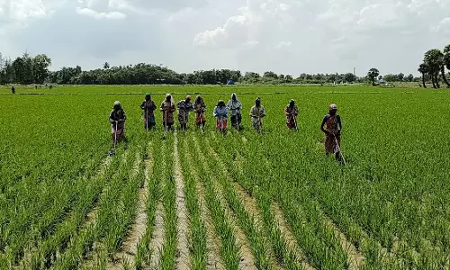 வேளாண் இடுபொருட்களை தட்டுப்பாடின்றி வழங்க வேண்டும்- விவசாயிகள் வேளாண் இடுபொருட்களை தட்டுப்பாடின்றி வழங்க வேண்டும்- விவசாயிகள்