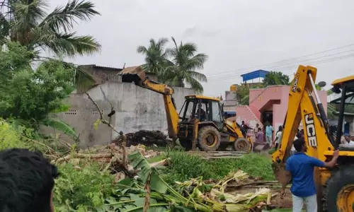 ஏரியை ஆக்கிரமித்து கட்டியிருந்த 29 வீடுகள் அகற்றம்