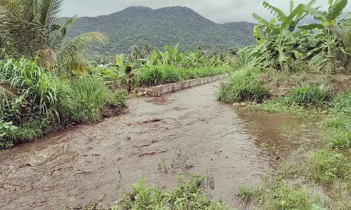 டேனிஷ்பேட்டை மேற்கு சரபங்கா ஆற்றில் வெள்ளப்பெருக்கு டேனிஷ்பேட்டை மேற்கு சரபங்கா ஆற்றில் வெள்ளப்பெருக்கு