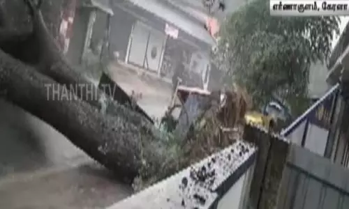 கனமழையால் வேரோடு சாய்ந்து விழுந்த ராட்சத மரம் - நூலிழையில் தப்பிய பள்ளி பேருந்து