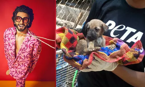 விலங்குகள் நலனை முன்னிறுத்தும் பிரச்சாரத்துக்காக மீண்டும் நிர்வாணமாக போஸ் கொடுக்கும்படி நடிகர் ரன்வீர் சிங்கிற்கு பீட்டா அமைப்பு அழைப்பு!