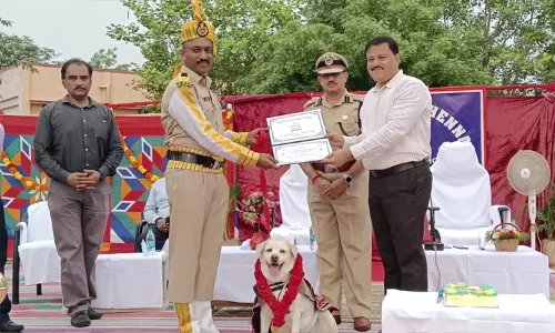 சென்னை விமான நிலையத்தில் 10 வருடங்களாக பாதுகாப்பு பணியில் இருந்த ராணி மோப்ப நாய் ஓய்வு