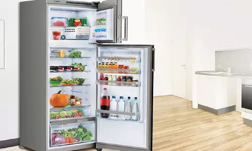 பிரிட்ஜ் பராமரிப்பும், பாதுகாப்பும்