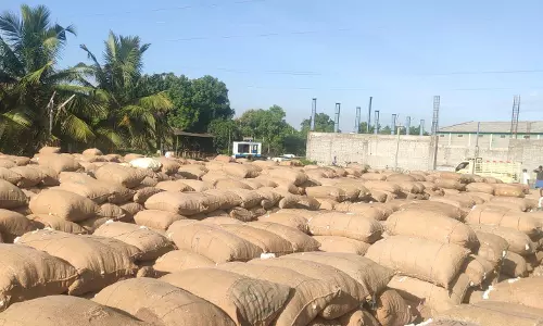 ராசிபுரத்தில் ரூ.45 லட்சத்துக்கு பருத்தி ஏலம் ராசிபுரத்தில் ரூ.45 லட்சத்துக்கு பருத்தி ஏலம்