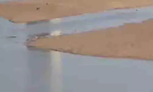 மணல்திட்டில் தவித்த அகதிகள்; இலங்கை கடற்படையினர் மீட்டனர் மணல்திட்டில் தவித்த அகதிகள்; இலங்கை கடற்படையினர் மீட்டனர்