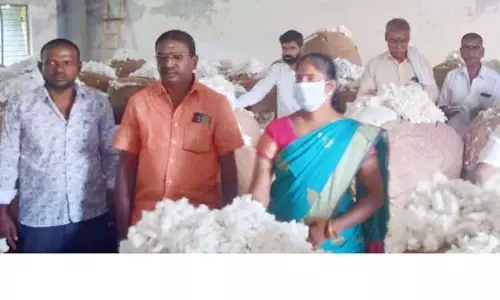 ரூ.2 கோடிக்கு பருத்தி ஏலம் ரூ.2 கோடிக்கு பருத்தி ஏலம்