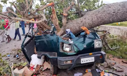 தொடர் கனமழை எதிரொலி: கார் மீது மரம் சாய்ந்து விழுந்து தந்தை-மகன் சாவு தொடர் கனமழை எதிரொலி: கார் மீது மரம் சாய்ந்து விழுந்து தந்தை-மகன் சாவு