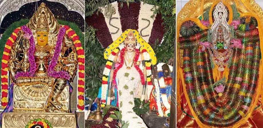 அம்மன் கோவில்களில் சிறப்பு பூஜை அம்மன் கோவில்களில் சிறப்பு பூஜை