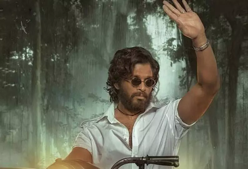 புஷ்பா-2 படத்தில் வில்லியாக களம் இறங்கும் பிரபல நடிகை புஷ்பா-2 படத்தில் வில்லியாக களம் இறங்கும் பிரபல நடிகை