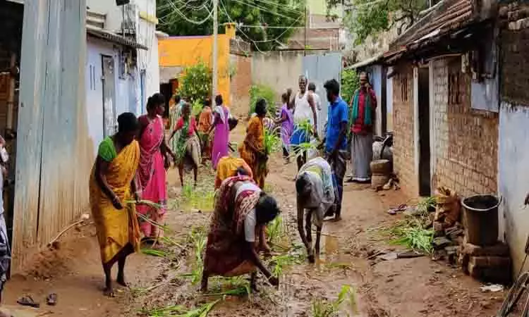 சாலையில் நாற்று நட்டு போராட்டம் சாலையில் நாற்று நட்டு போராட்டம்