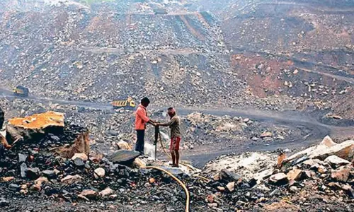 பட்டதாரிகளுக்கு பணி