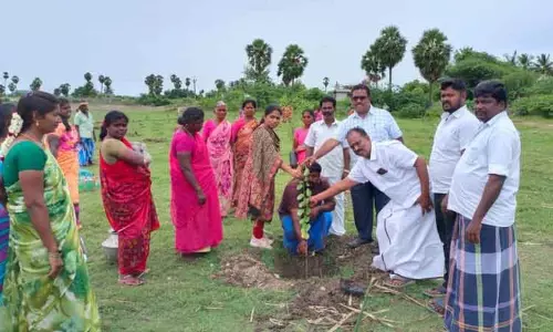 ஏரிக்கரைகளில் மரக்கன்று நடும் விழா ஏரிக்கரைகளில் மரக்கன்று நடும் விழா