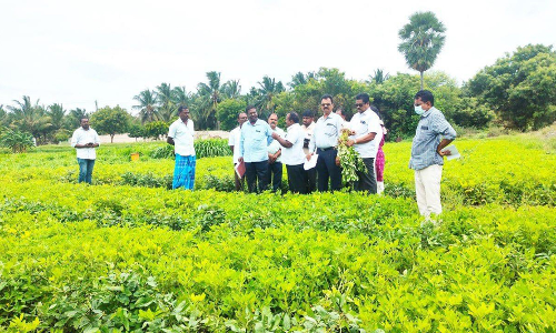 பரமத்தி பகுதியில் வேளாண்மை திட்டப்பணிகளை கல்லூரி இயக்குனர் ஆய்வு பரமத்தி பகுதியில் வேளாண்மை திட்டப்பணிகளை கல்லூரி இயக்குனர் ஆய்வு