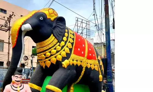 புது வர்ணத்தில் ஜொலிக்கும் யானைக்கல்