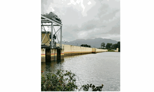 பேச்சிப்பாறை அணை நீர்மட்டம் 42 அடியை எட்டியது