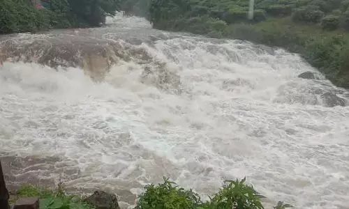 வால்பாறையில் பலத்த காற்றுடன் கனமழை